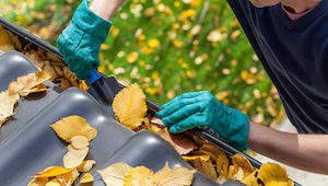 Stressless Fall Home Maintenance Tips