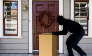 Porch Pirates