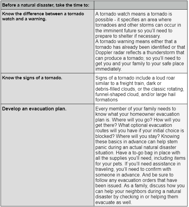 tornado basic1 - DomiDocs