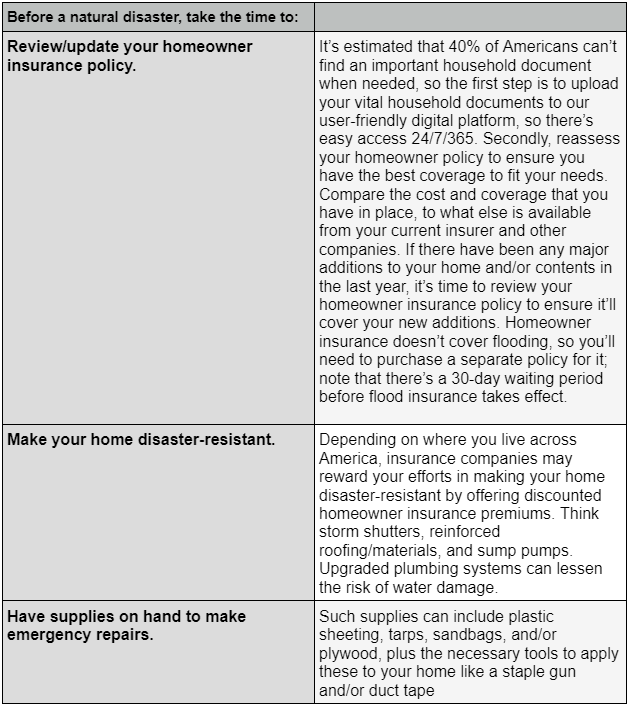 tornado basic3 - DomiDocs