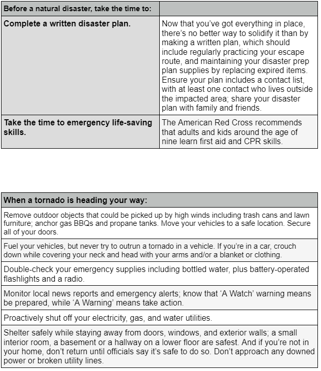 tornado basic4 - DomiDocs